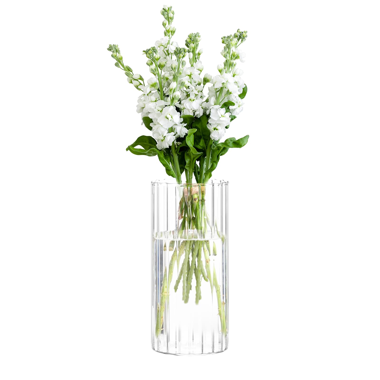 Clear Modern Flower vase